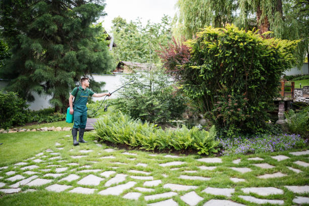 Best Residential Pest Control  in Prairieville, LA