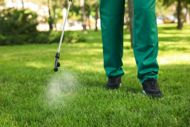 Best Rat Extermination Near Me  in Prairieville, LA
