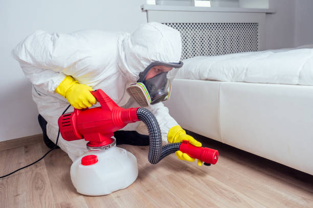 Best Pest Control for Businesses  in Prairieville, LA