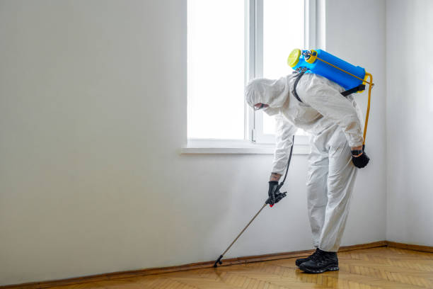 Best Commercial Pest Control Services  in Prairieville, LA
