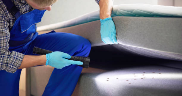 Professional Pest Control in Prairieville, LA